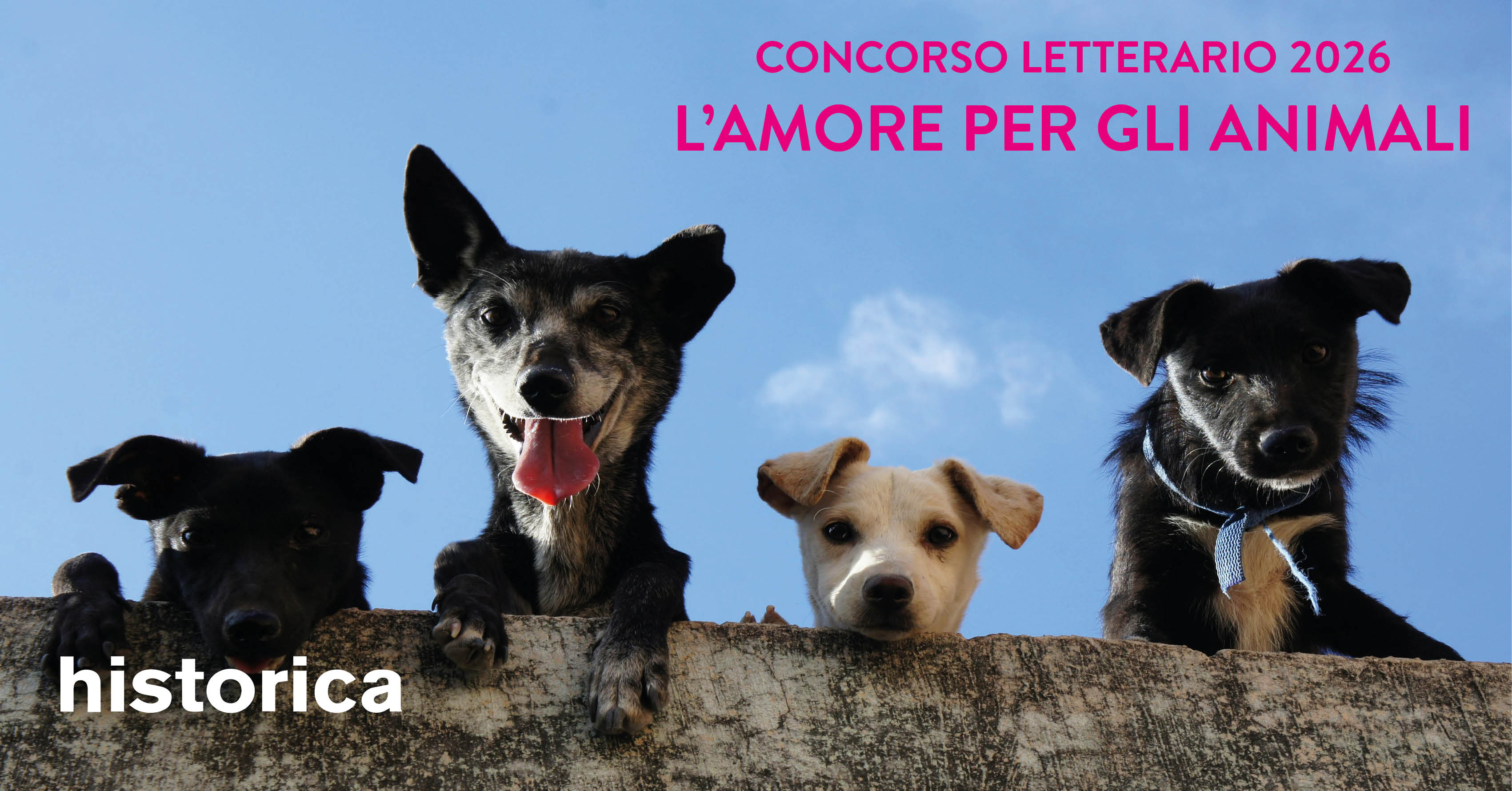 Concorso letterario L’amore per gli animali 2026