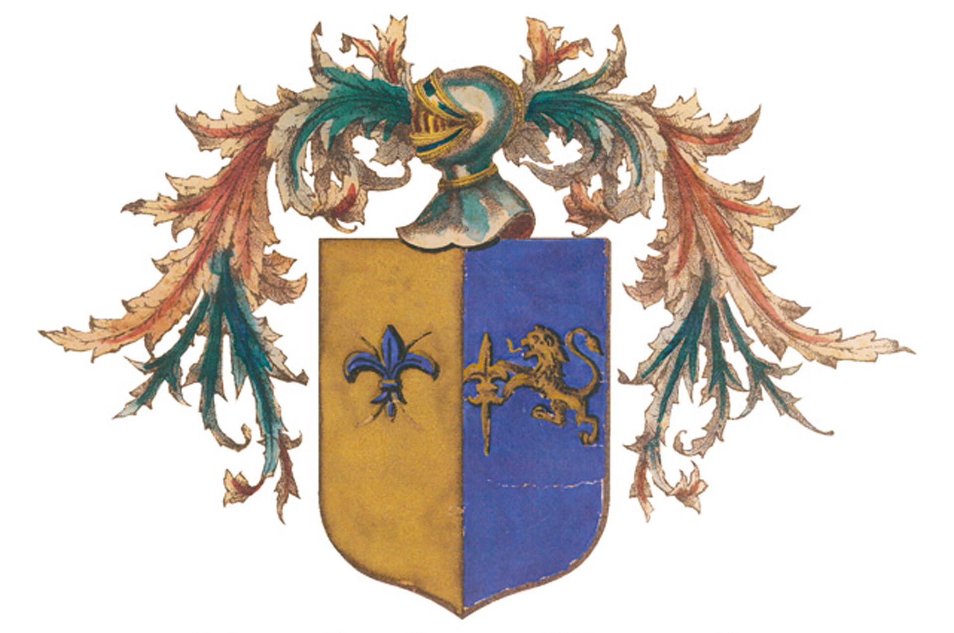 Avatar Fondazione Fioroni