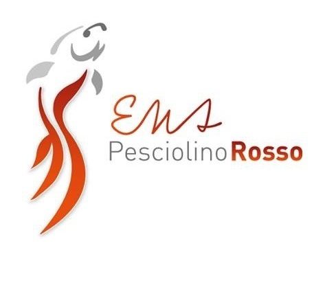 Fondazione PesciolinoRosso